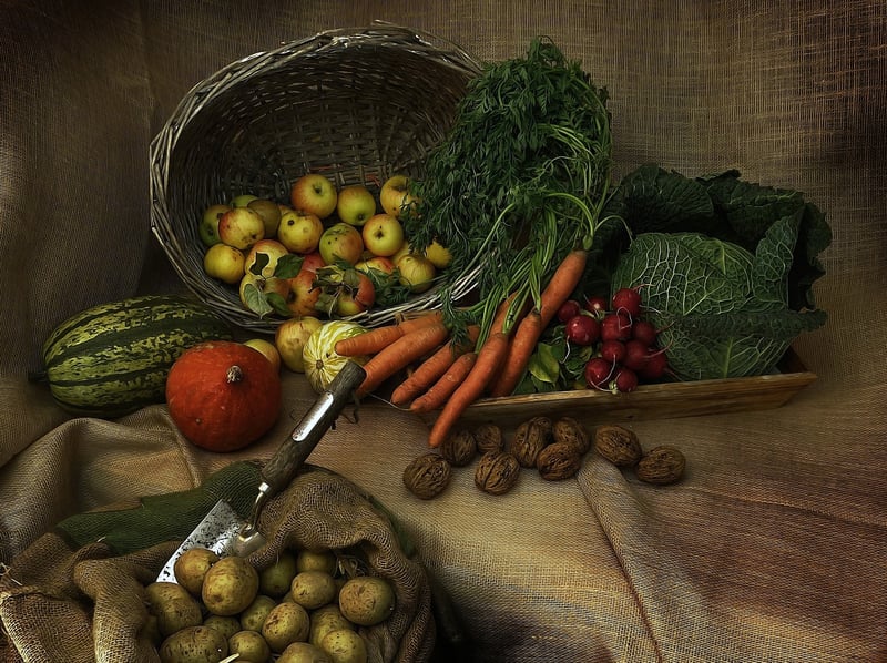 Nutrition Guidance